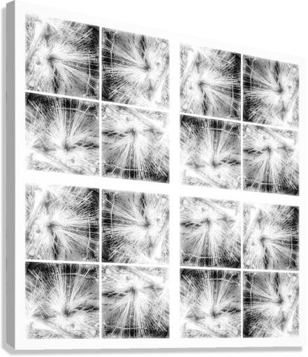 V374 Canvas Print