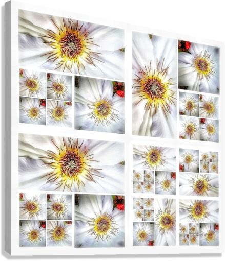 V376 Canvas Print