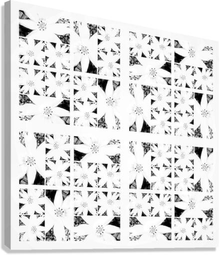 V383 Canvas Print
