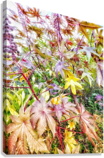 V384 Canvas Print