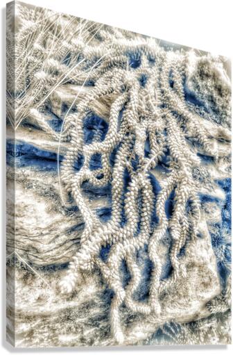 V387 Canvas Print