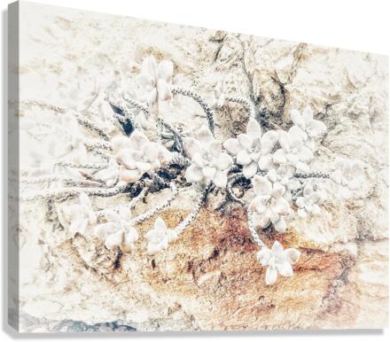 V390 Canvas Print