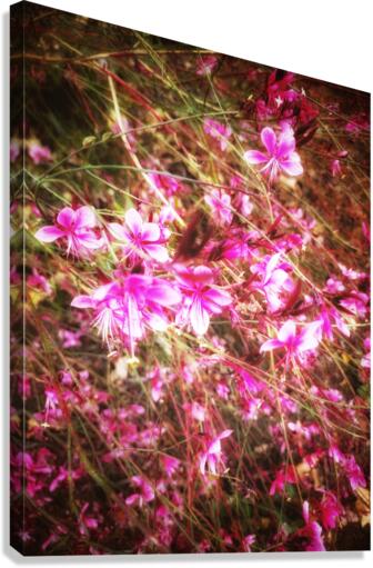 V393 Canvas Print