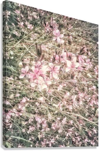 V396 Canvas Print