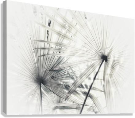V398 Canvas Print