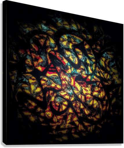 V401 Canvas Print