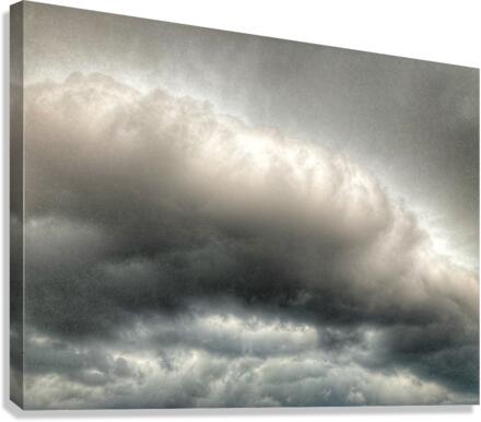 V402 Canvas Print