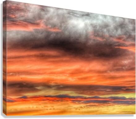 V404 Canvas Print