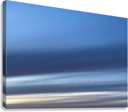 V405 Canvas Print