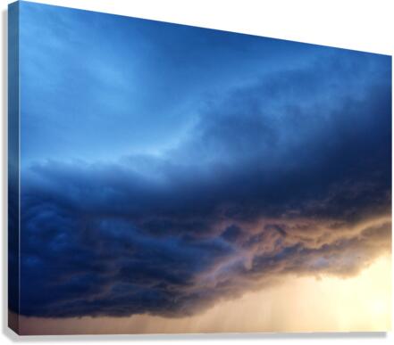 V406 Canvas Print