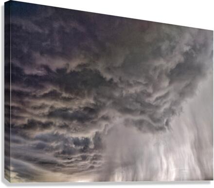 V407 Canvas Print