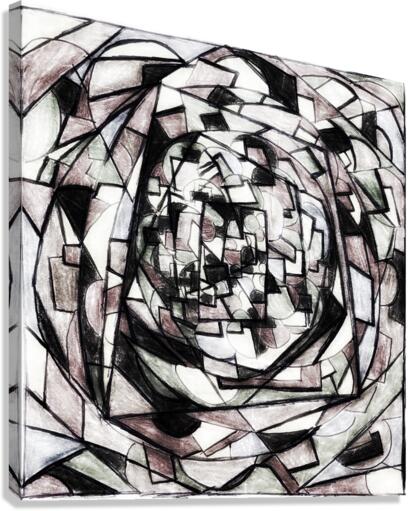 V412 Canvas Print