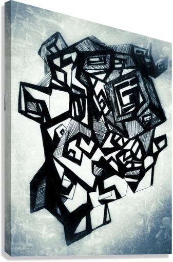 V415 Canvas Print