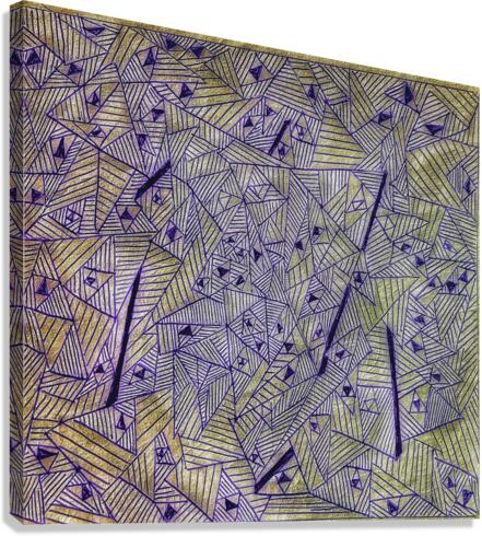 V417 Canvas Print