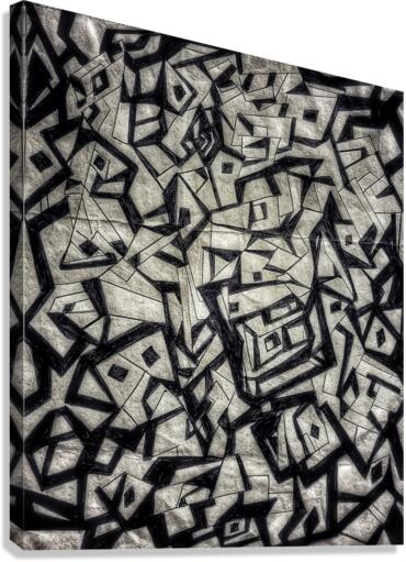 V421 Canvas Print
