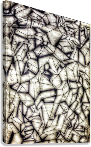 V423 Canvas Print