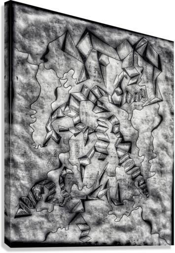 V424 Canvas Print