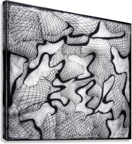 V426 Canvas Print