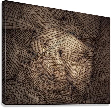 V427 Canvas Print