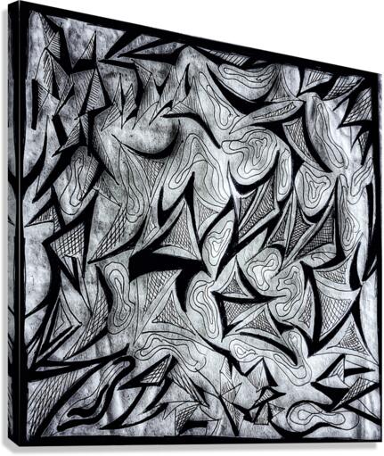 V428 Canvas Print