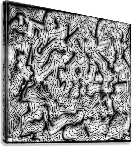 V430 Canvas Print