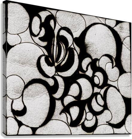V432 Canvas Print