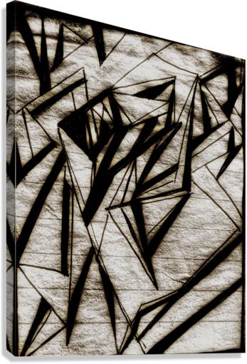 V433 Canvas Print