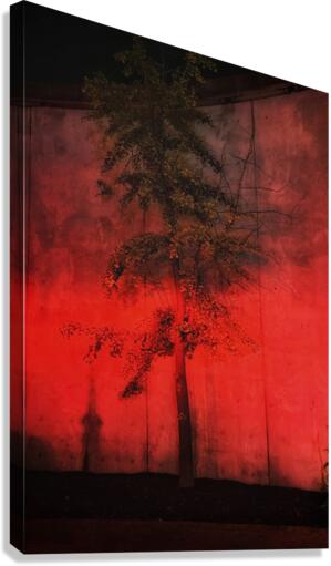 V437 Canvas Print