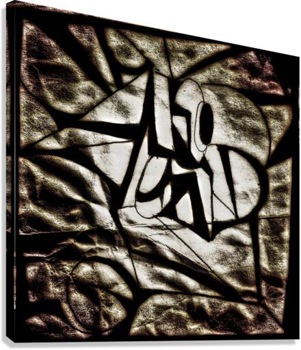 V440 Canvas Print