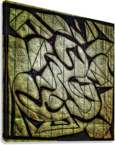 V441 Canvas Print