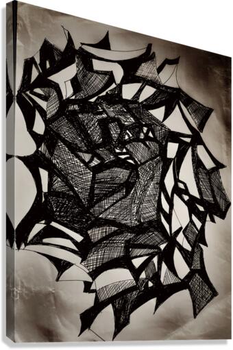 V442 Canvas Print