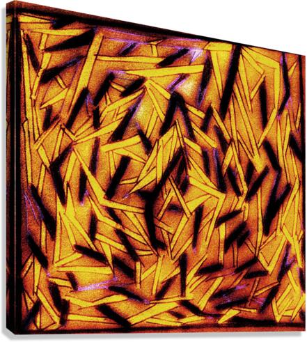 V443 Canvas Print