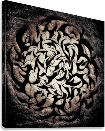 V450 Canvas Print