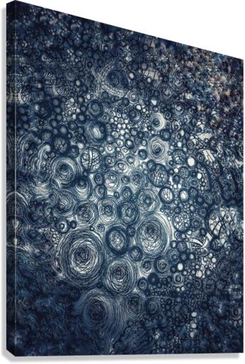 V452 Canvas Print