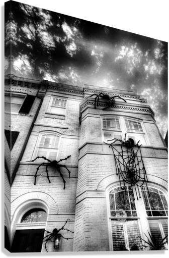 V454 Canvas Print