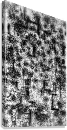 V457 Canvas Print