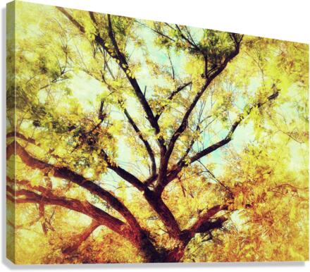 V463 Canvas Print