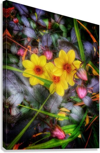 V464 Canvas Print
