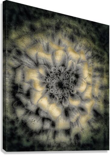 V465 Canvas Print