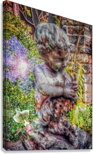 V466 Canvas Print