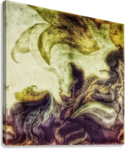 V469 Canvas Print