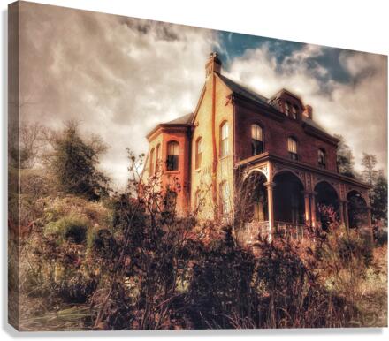 V477 Canvas Print