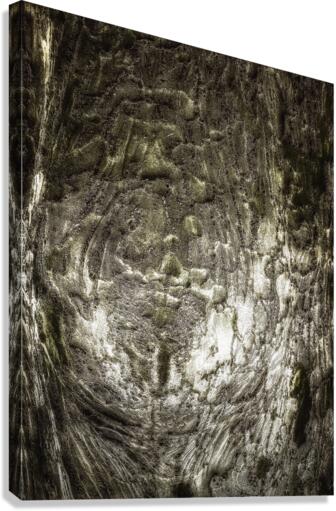 V481 Canvas Print