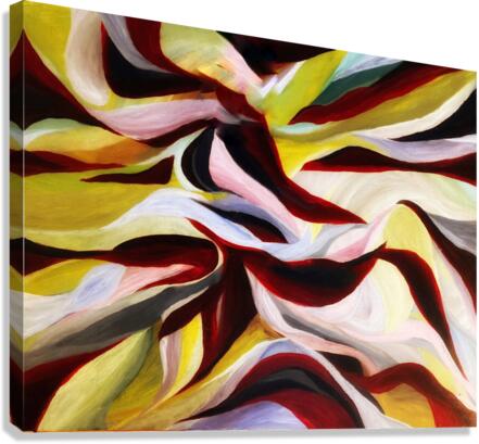 V488 Canvas Print