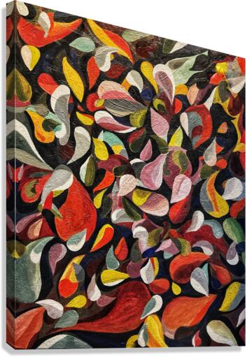 V493 Canvas Print