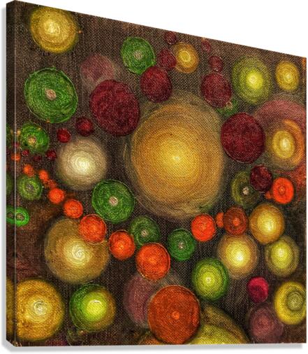 V495 Canvas Print