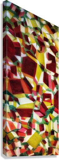 V496 Canvas Print