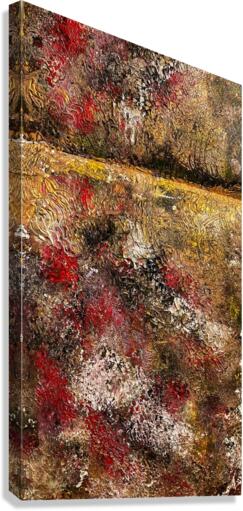 V500 Canvas Print