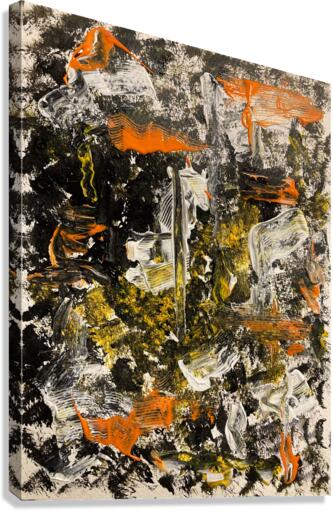 V504 Canvas Print