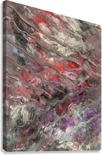 V505 Canvas Print